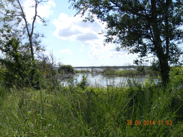 2014-06-26 11.53.22